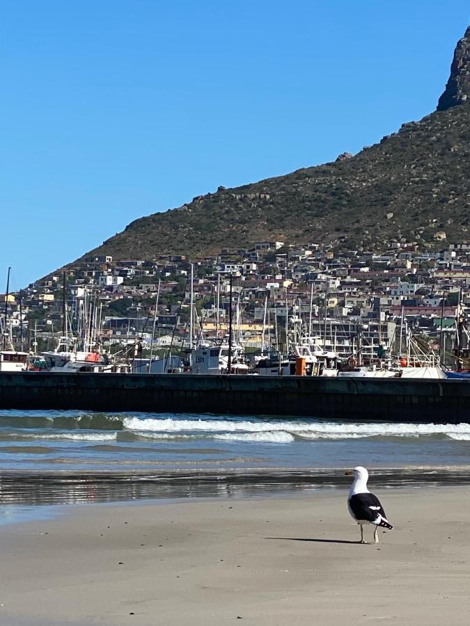 Best Place Ever Hout Bay Exterior photo